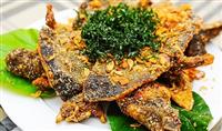 Cách làm thịt ba ba và những món ngon khó cưỡng từ ba ba