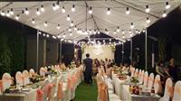 Kinh nghiệm vàng khi đặt tiệc liên hoan, kỷ niệm công ty